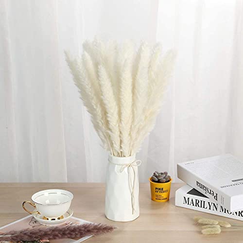 Cream Pampas Grass – Enough for 2 Vases – Indoor Home Décor