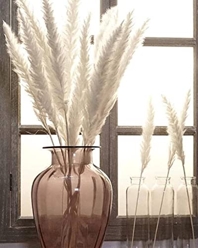 Cream Pampas Grass – Enough for 2 Vases – Indoor Home Décor